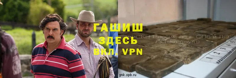 ГАШ Premium Болохово